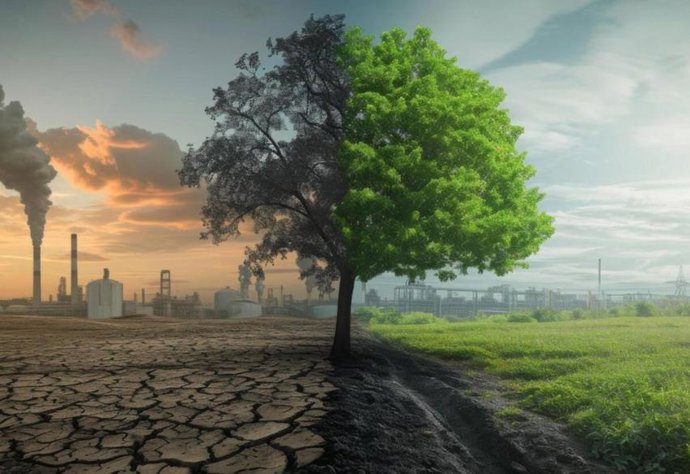 Forest Makers irrumpe en el mercado de carbono  