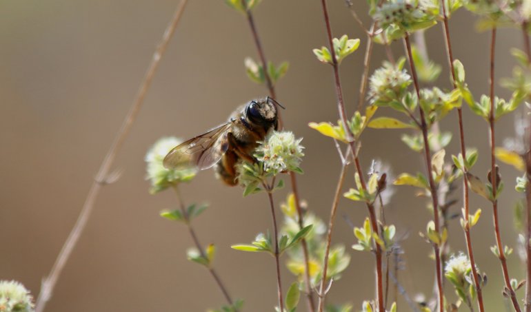 EpAgro - Agricultura