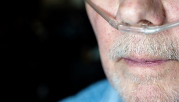 notibrasil sociedade