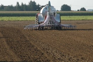 Imatge d'un camp de cultiu