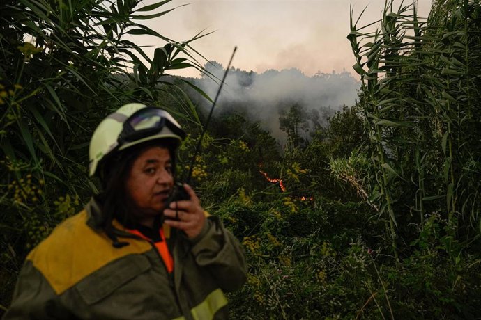 Archivo - Una persona colabora en la extinción del fuego, a 29 de julio de 2025, en Arbo, Pontevedra, Galicia (España).