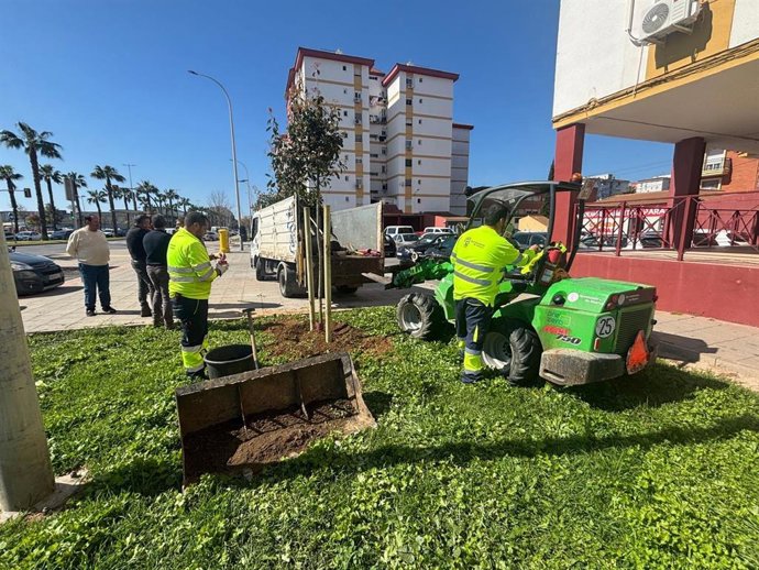 Plantación de árboles en la avenida Nuevo Colombino de Huelva.