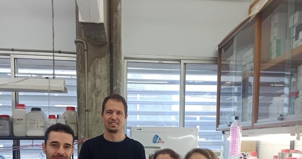 Es Andalucía - Sevilla