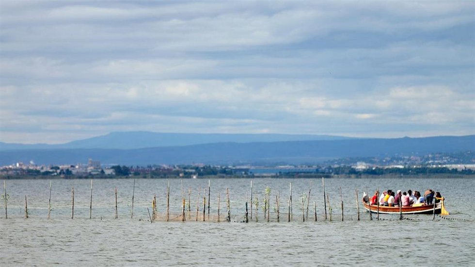 Barca eléctrica en l?albufera