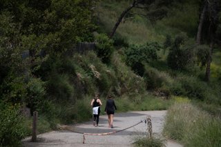 Archivo - El parc natural de la serra de Collserola