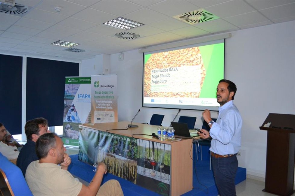 Archivo - Imagen de archivo de unas jornadas sobre cultivos herbáceos desarrollada en el Ifapa de Jerez de la Frontera (Cádiz).