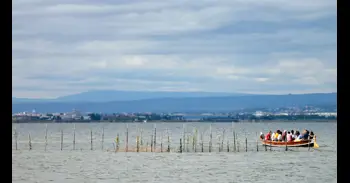L'Ajuntament instal·larà carregadors elèctrics al Palmar i El Saler per a les embarcacions de l'Albufera