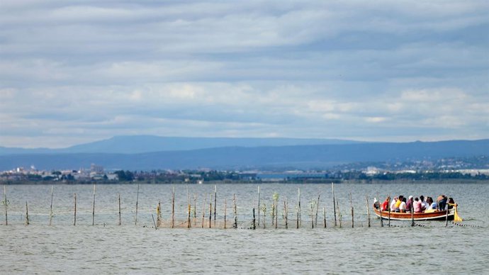 Barca elèctrica en l'albufera