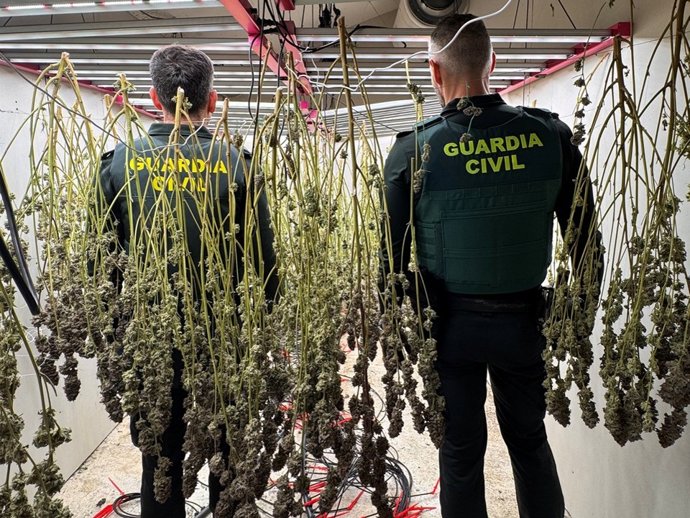 Cae un clan familiar que repartía cocaína y marihuana por la provincia desde Dolores