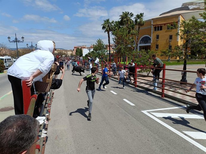 Toro Embolao en Los Barrios en una imagen de archivo.