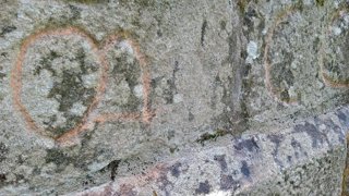 Imaxe das pintadas no Mosteiro