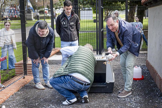 Villaviciosa presenta el nuevo aviario del Parque de La Ballina, que alberga ejemplares de la pita pinta asturiana y cumple fines didácticos y de conservación