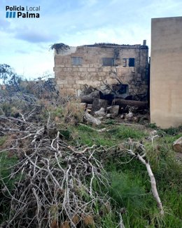 Solar de s'Arenal afectado por el incendio.