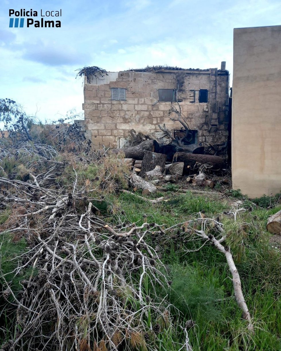 Solar de s'Arenal afectado por el incendio.