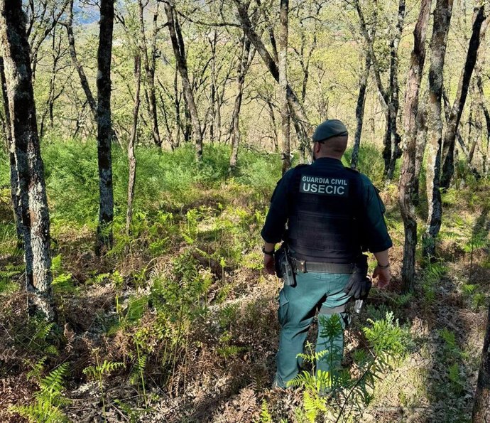 Agente de la Guardia Civil participa en la búsqueda de un hombre de 74 años desaparecido en Jarandilla de la Vera (Cáceres)