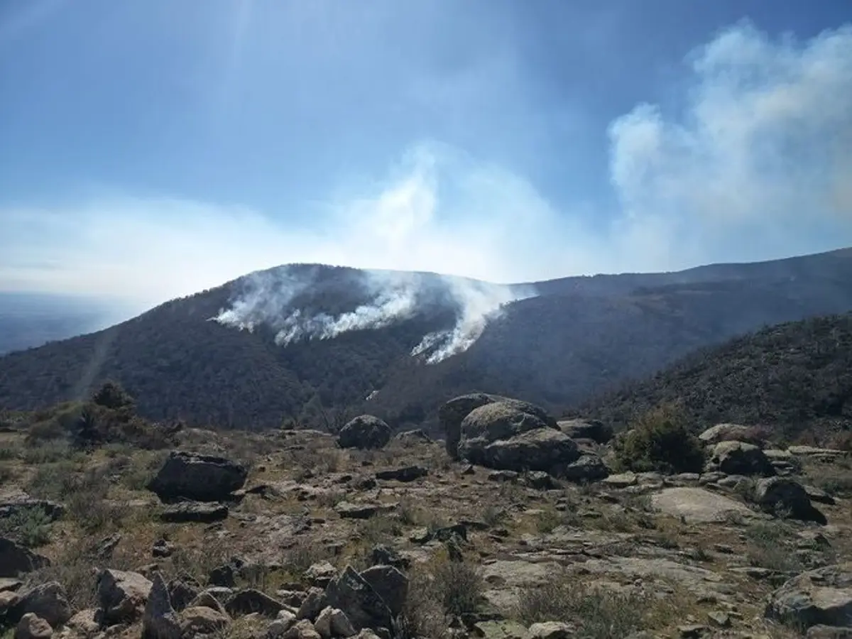 Incendio en Losar de la Vera (Cáceres)