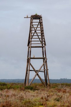 Es Andalucía - Huelva