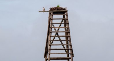 Es Andalucía - Huelva