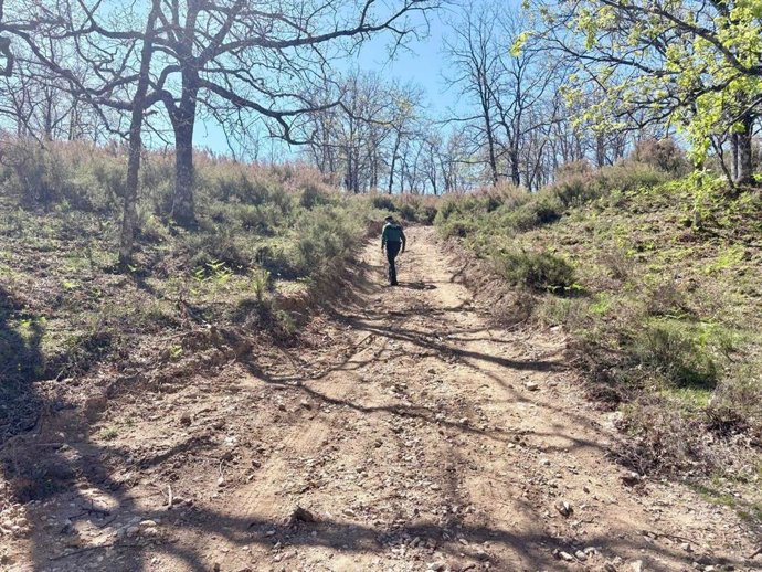 Prosigue la búsqueda de un hombre de 74 años desaparecido en Jarandilla de la Vera (Cáceres) la noche del Jueves al Viernes Santo.