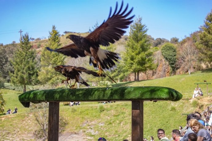 Archivo - Cabárceno completa su aforo este Sábado Santo con 8.162 visitantes, un 41,3% más