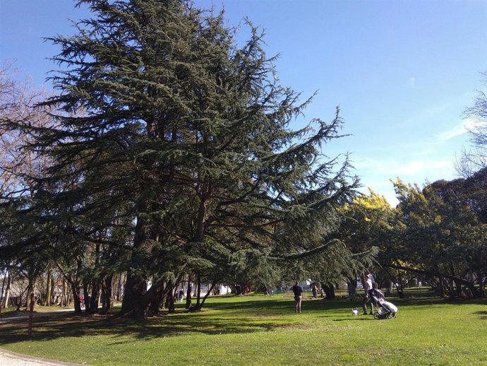 Archivo - Jornada soleada.