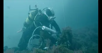 Andalucía crea un sistema inteligente para detectar cetáceos en el Estrecho mediante sus silbidos