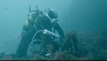 Es Andalucía - Sevilla