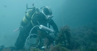 Es Andalucía - Sevilla