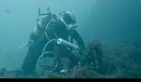 Es Andalucía - Sevilla