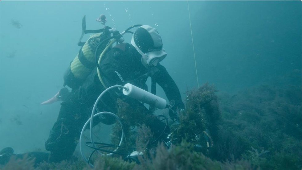 Andalucía crea un sistema inteligente para detectar cetáceos en el Estrecho mediante sus silbidos.