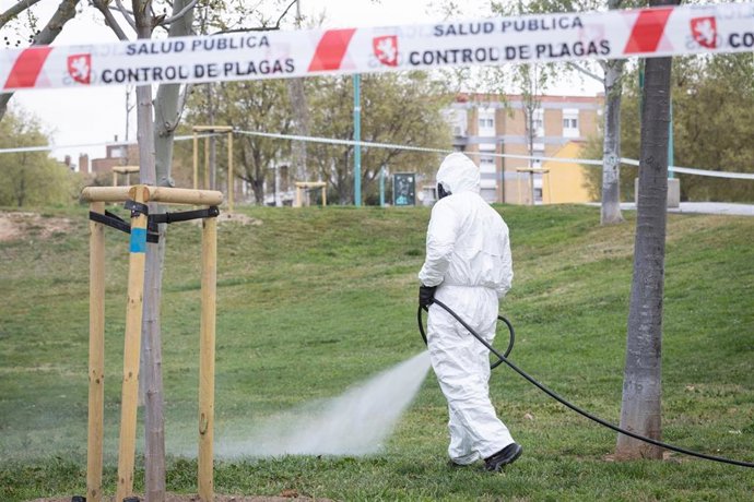 Tratamiento preventivo frente a la aparición de garrapata en los principales parques y plazas de Zaragoza