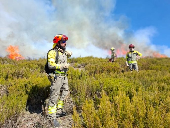 Trabajo de los bomberos forestales
