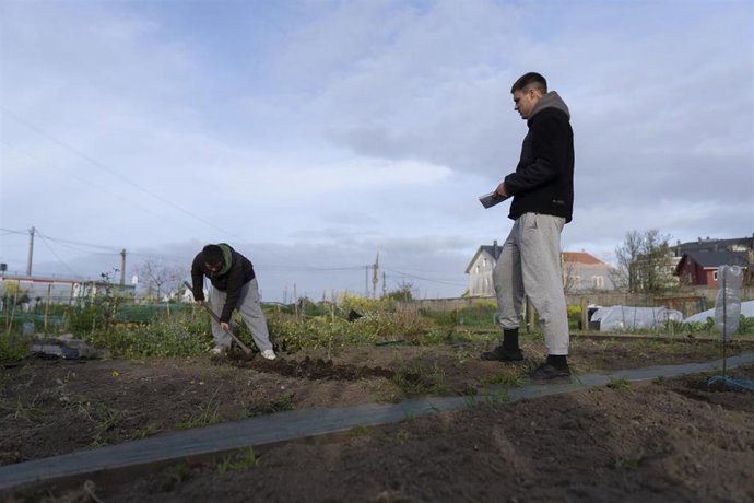 Huerto urbano en A Coruña