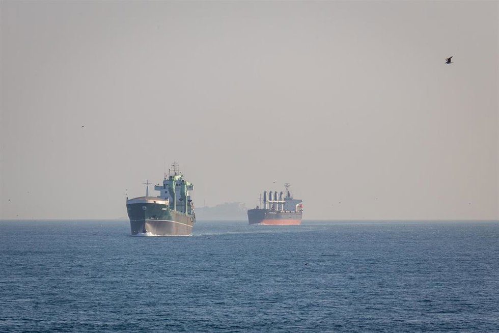 Cargueros y petroleros transitan por el Bósforo en dirección al estrecho de Ormuz (imagen de archivo)
