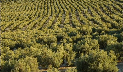 Andalucía