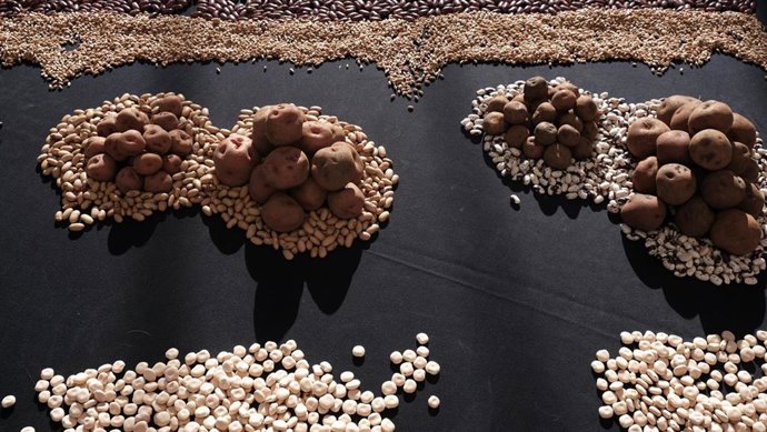 Archivo - Papas de Tenerife