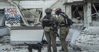 notibrasil política