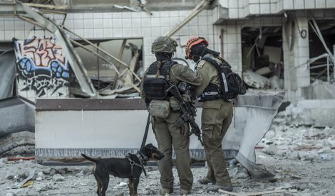 notibrasil política