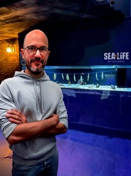 El profesor Juan Pascual Anaya lidera un grupo que impulsa estudio en embriones de tiburón que permitirán analizar cómo se generan enfermedades sanguíneas