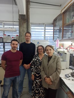 Un equipo de investigación de la Universidad de Sevilla desarrolla una nanocápsula que libera compuestos antibacterianos hacia el origen de la infección.