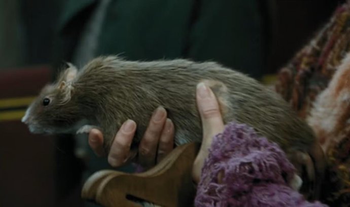 La serie de Harry Potter recupera la escena más perturbadora de Scabbers que las películas ignoraron