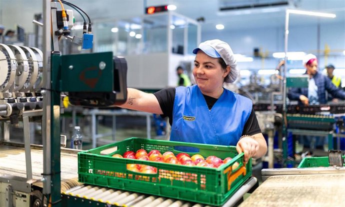 Trabajadora en una central hortofrutícola
