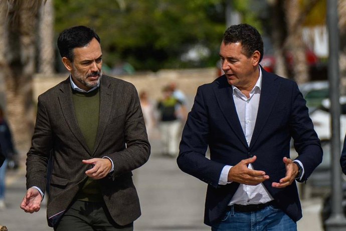 El vicepresidente del Cabildo tinerfeño, Lope Afonso, junto al alcalde de Arico, Andrés Martínez