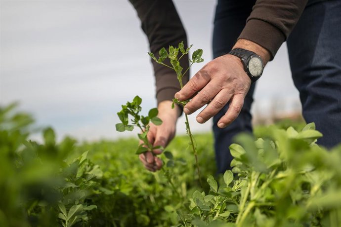 Agricultor en el campo 