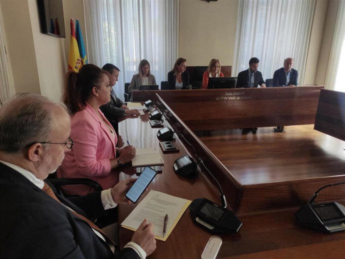 Archivo - Comisión de investigación del accidente en la mina de Cerredo