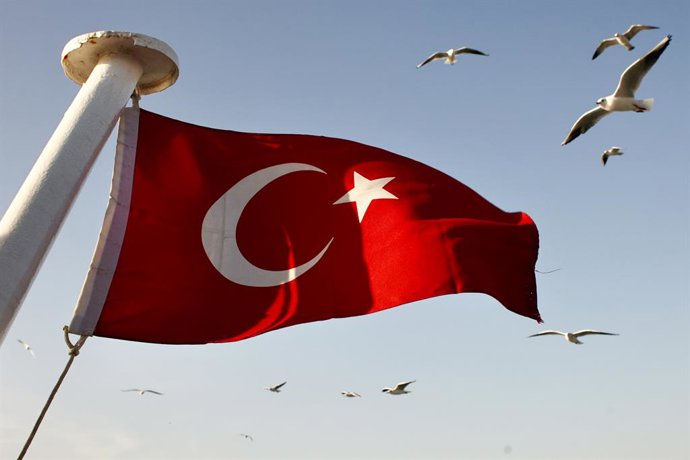 Archivo - Arquivo - TURQUIA, ISTAMBUL - 21 DE NOVEMBRO DE 2025: Gaivotas sobrevoam uma bandeira da Turquia