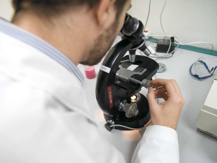 Archivo - Laboratorio-investigación-medicina