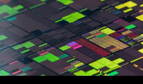 notibrasil sociedade