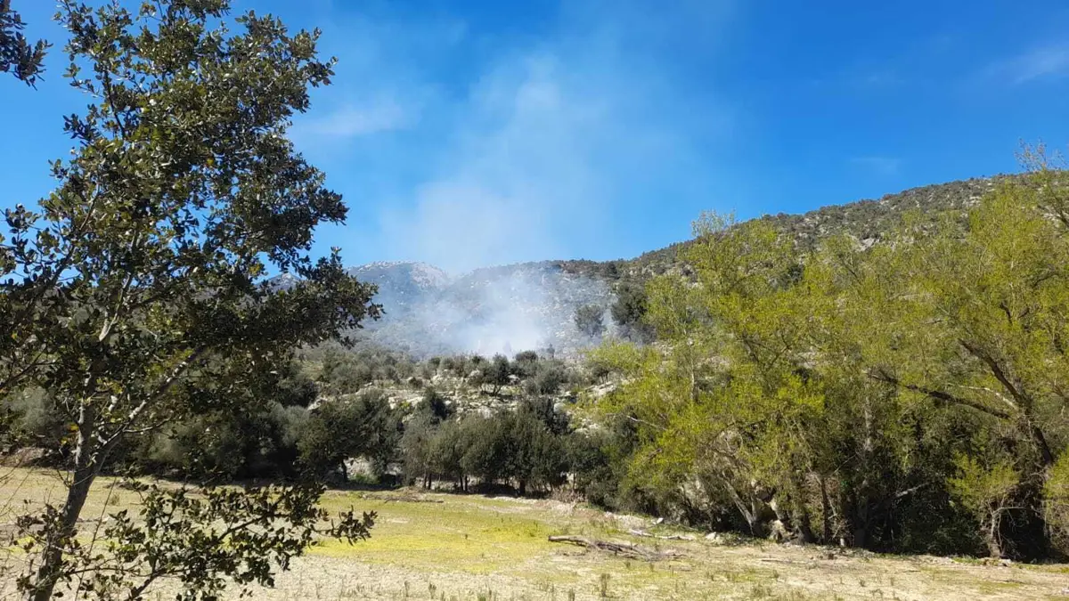 Incendio forestal en Orient