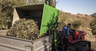 Es Andalucía - Jaén